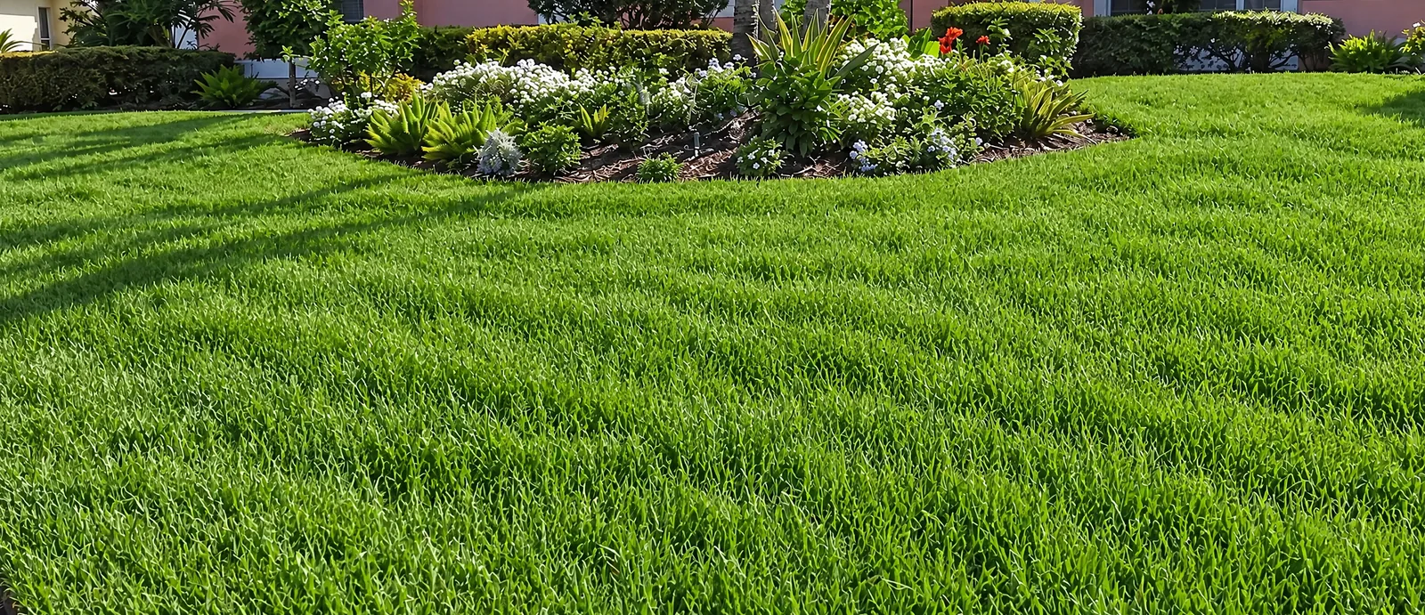 The same lawn before service: uneven and overgrown