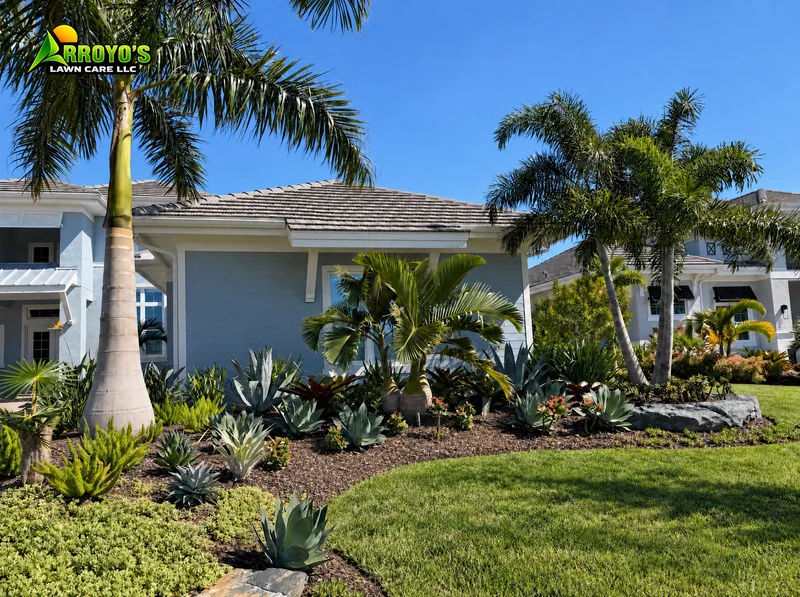 Curved planting bed: palms, agave, and groundcover